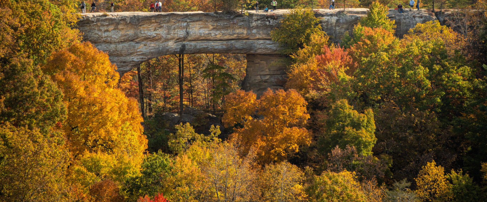 Experience the Best of Northern Kentucky through Tours