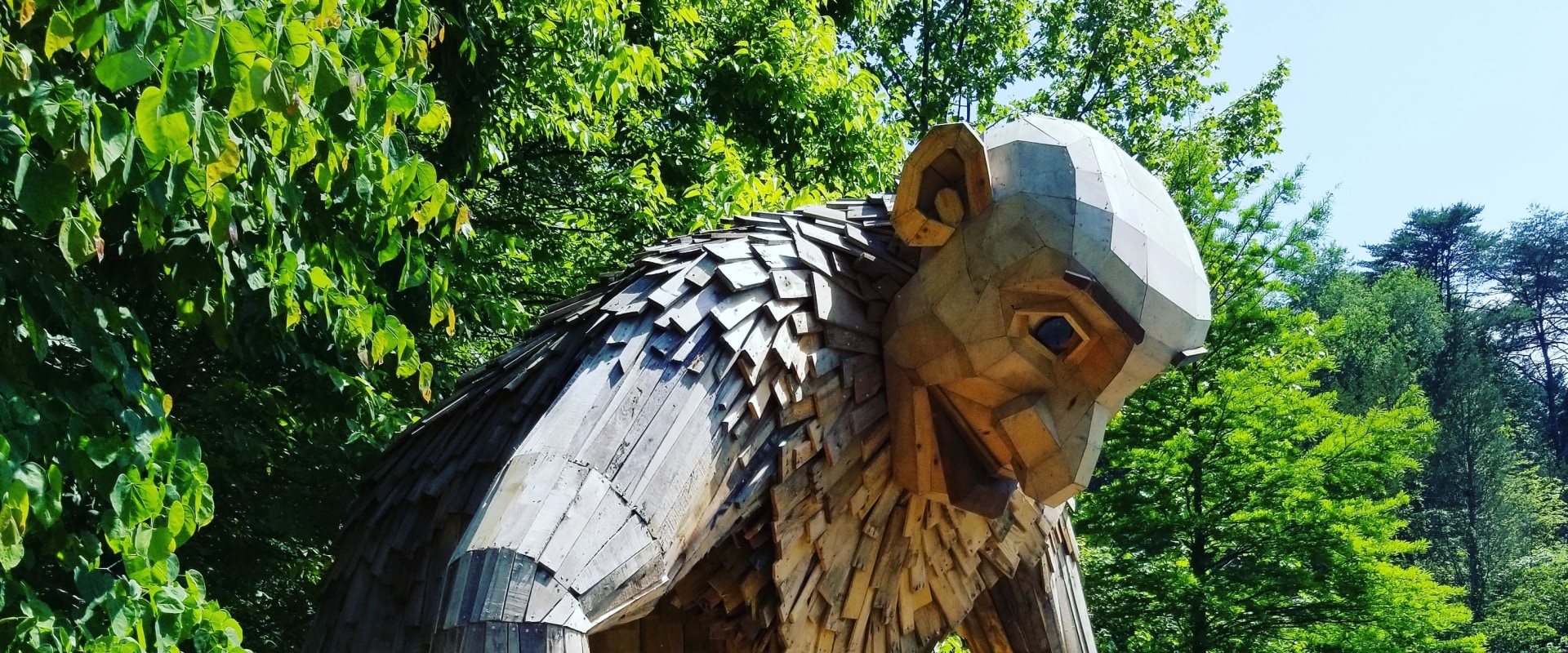 Exploring Eco-Friendly and Sustainable Tour Options in Northern Kentucky