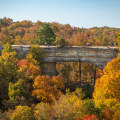 Experience the Best of Northern Kentucky through Tours