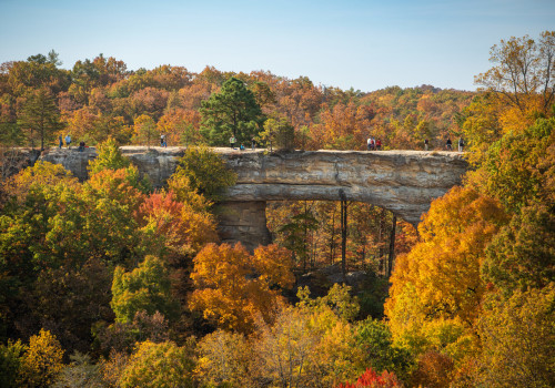 Experience the Best of Northern Kentucky through Tours